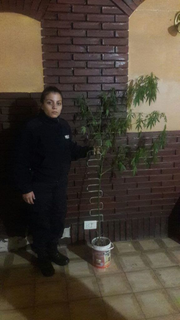 15 03 HALLAZGO INF LEY 23737 – Est. Policia Comunal Gral. Arenales FERRE