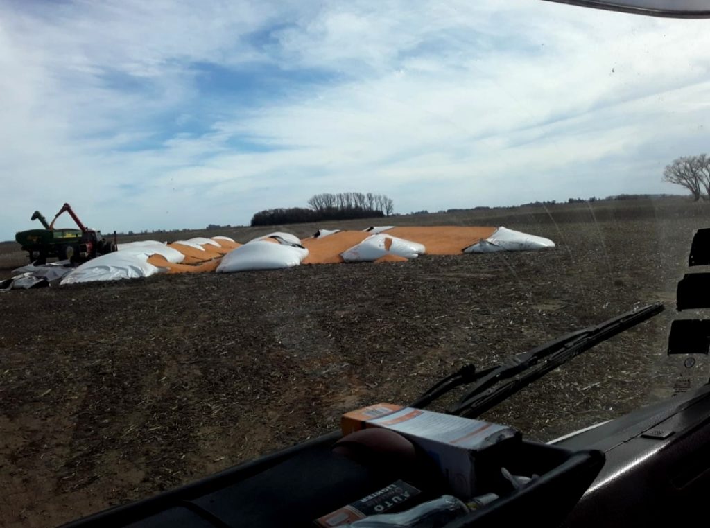 PHOTO 2020 07 28 09 16 54