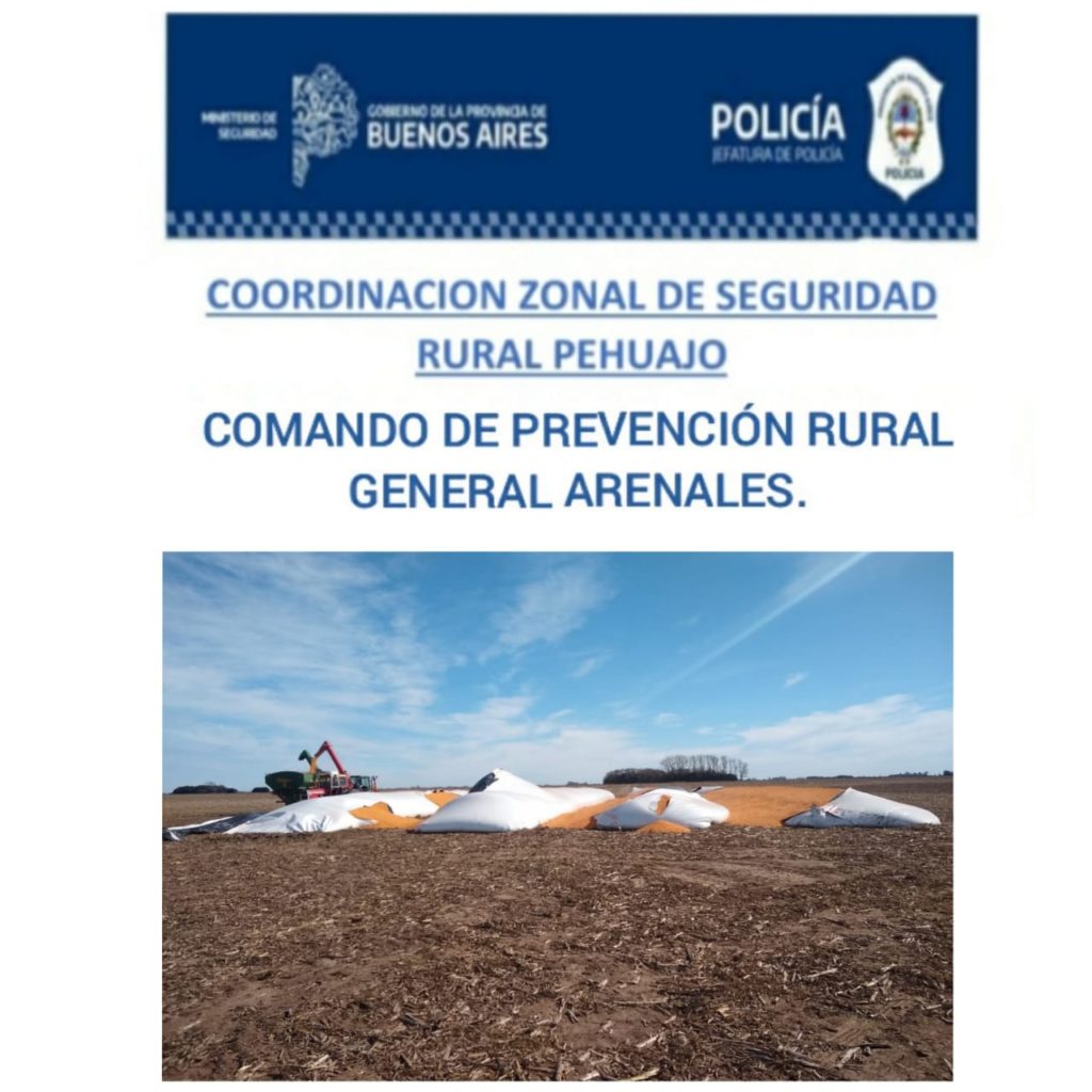 PHOTO 2020 07 28 09 16 57